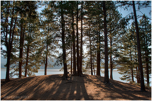 california light nikon shadows lakes laketahoe pines hdr bocareservoir d5100 mikevieira