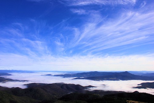 nature fog clouds view australia bushwalking tasmania collinscap tasmanianscenary