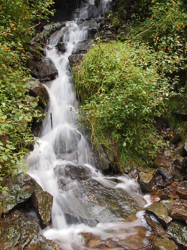 ny waterfall cascade akron monkeyflowers akronfalls