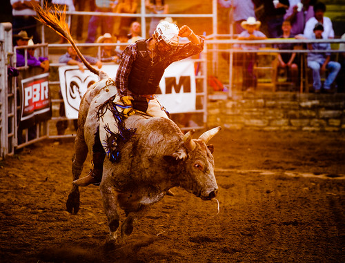 vfw bull bullriding cowboy rider rodeo sport sunset western wimberley