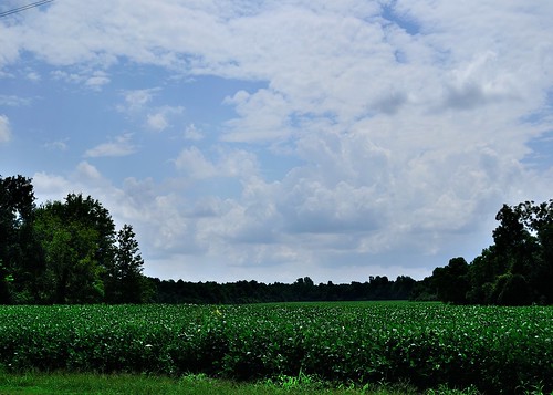 field clouds landscape