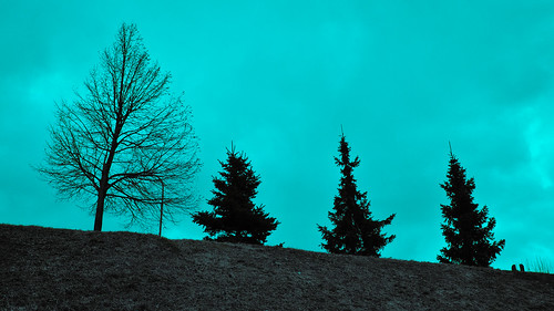 blue tree landscape slovakia dreamland kosice 2011