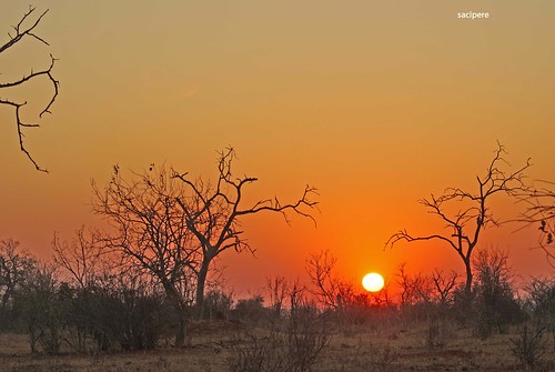 africa sunrise botswana chobe