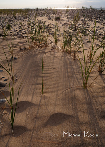 beach grass rock michael sand nikon michigan ontheground nikkor upperpeninsula lakesuperior webs d300 lucecounty 20mmf28d koole michaelkoole