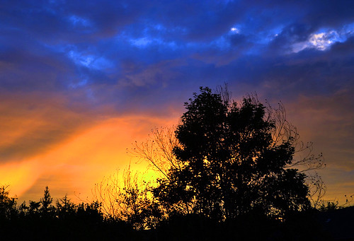 trees sunset sky colors clouds ciel arbres laval coucherdesoleil downcenter