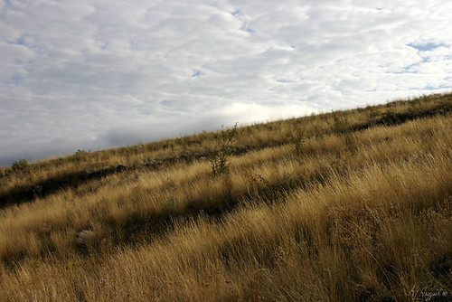 landscape britishcolumbia okanagan fineart sage vernon haggartbeachphotography