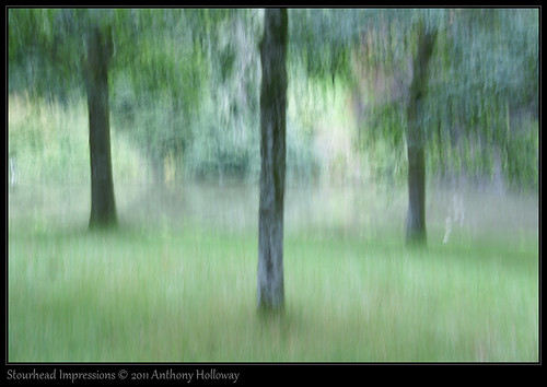 trees landscape sony stourhead impressionistic a700