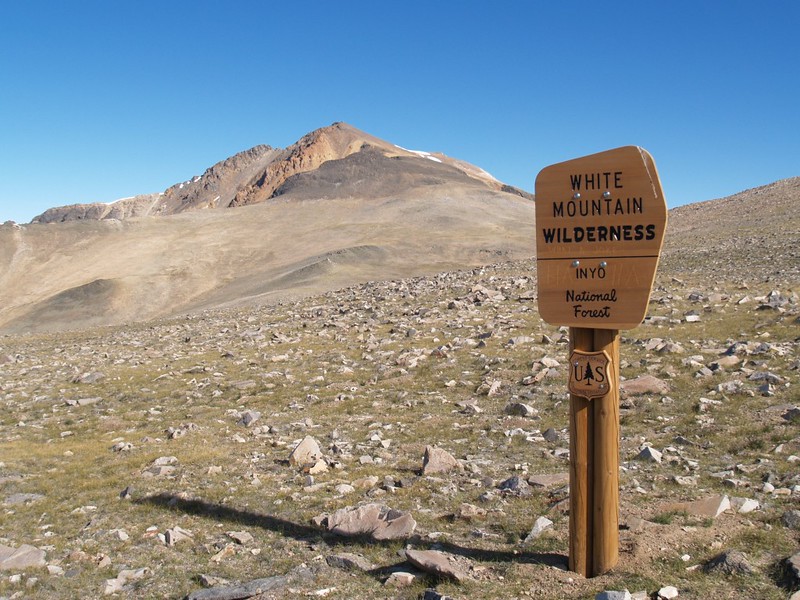 White Mountain Wilderness sign, out in the middle of nowhere