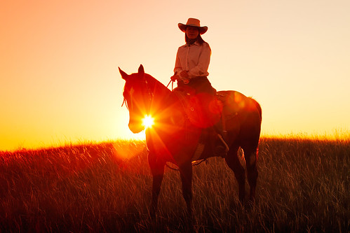 ranch light red summer horse orange woman sun sunlight west girl beautiful field animal yellow horizontal female rural america season outdoors one golden evening countryside cowboy montana colorful afternoon mt unitedstates young warmth surreal lifestyle atmosphere dry sunny riding pasture havre american lensflare western rodeo recreation backlit copyspace cowgirl spiritual sideview cowboyhat rider range shining horseback clearsky ranching lastlight stockphoto grassy afternoonlight horseman greatplains outwest stockphotography travelphotography americanquarterhorse reigns colorimage liesure beautyinnature horizonoverland fresnoreservoir toddklassy