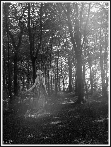france photoshop fairy arbres fée 62 forêt bois artois pasdecalais féerie olhain