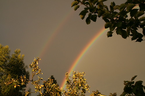 england sky rain weather rainbow cambridgeshire