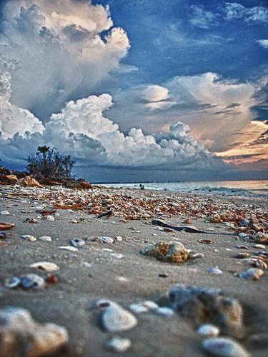 blue sky shells clouds sand clearwater honeymoonisland scenicsnotjustlandscapes