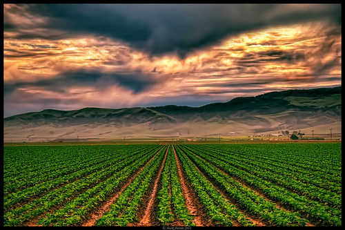 california cloud sun nikon row crop guadalupe d90 promoteremotecontrol ©markpatton