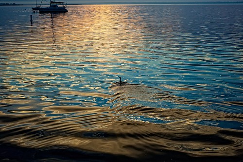 newyork water sunrise 50mm nikon ripples bellport afulki d700