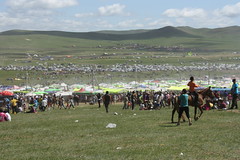 Festival grounds