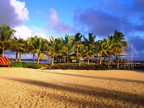 summer beach island sand paradise surf pacific coconut resort samoa