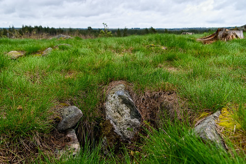 geocaching stones socken geocache arvid stenar galgbackenihamneda hinneryds öshult gc2t3xz