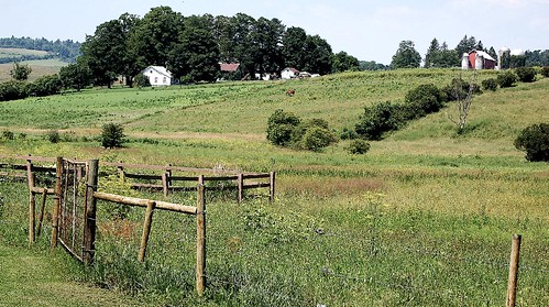 trees rural landscape farm fences pasture upstatenewyork newyorkstate pastoral otsegocounty eastspringfieldny edbrodzinsky