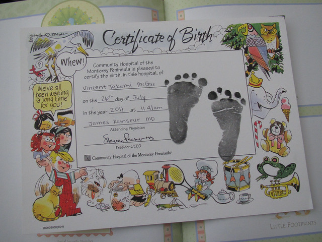 Vincent Certificate of Birth