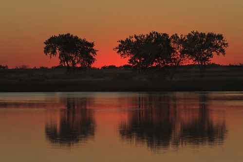 trees lake sunrise landscape dawn colorado silhouettes rockymountainarsenal lakeladora mygearandme
