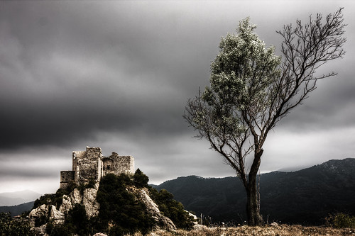 italy tree castle italia decay liguria albero castello hdr decadenza castelvecchiodiroccabarbena