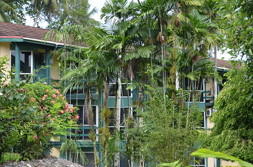 png papuanewguinea lae eguide eguidetravel laeinternationalhotel pnghotels laehotels papuanewguineahotels