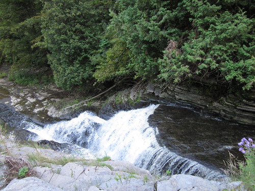 park newyork field creek river waterfall view scenic upstate martinsburg whitakerpark 091111