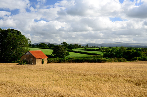 uk roof red summer sky field barley sunshine clouds barn tin nikon view devon dartmoor d7000
