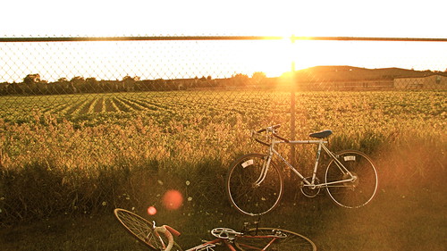 light sunset sun field fence golden sundown meadow bikes flare goldenhour cycles