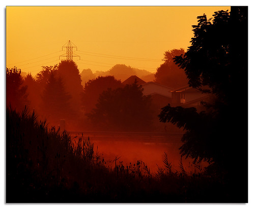 morning trees sky orange hot silhouette sunrise gold haze humid