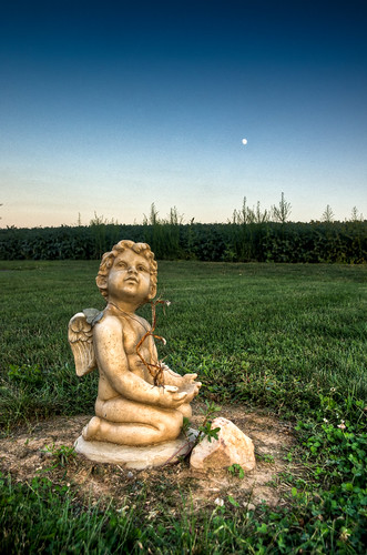sunset moon cemetery grave field angel gravestone