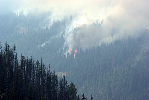 forest fire pass valley bitterroot skalhako