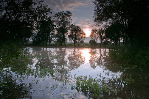 sunset mist pond peaceful tranquil northyorkshire pickering canon1ds 24105f4is markmullen reversendgrad markmullenphotography