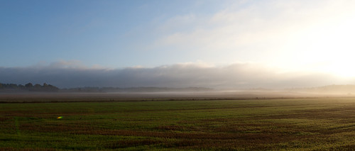 morning field fog sunrise countryside haze canonef2470mmf28lusm canoneos5dmarkii