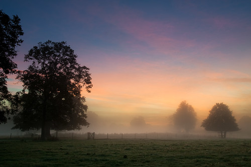 mist field misty sunrise dawn gate slough berkshire kevday langleypark
