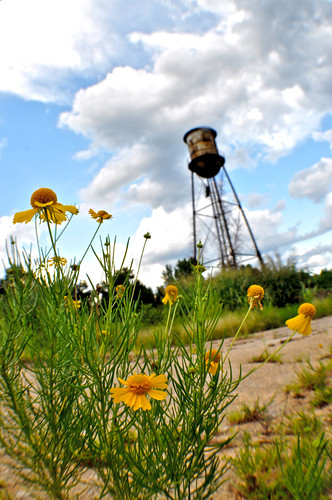 old blue summer sky flower green tower abandoned water yellow clouds woodland georgia evening spring nikon rust decay ground fisheye asphalt d5000