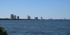 Tampa - Ballast Point Park - Bayshore Blvd Highrise Buildings