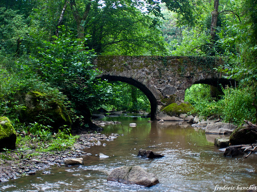 nature eau pont foret arbre rhonealpes ruisseau