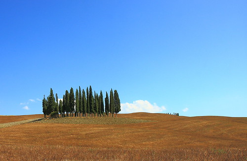 blue trees summer sky italy panorama forest landscape countryside scenery view tuscany cypress cypresses tuscanian