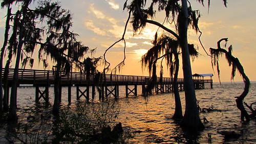 sunset nature water river pier dock florida widescreen boardwalk stjohnsriver canonsx30is