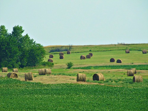 sky rural farming whitecity kansas agriculture haybales rotoballe