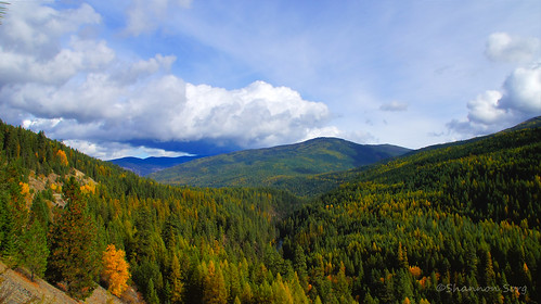 trees mountains fall colors leaves river montana sony northwestern dslr tamronlens yaak