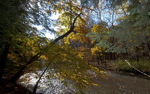 ohio sky water colors leaves creek woods oct youngstown millcreekpark nikond90 nikon1224mmlens