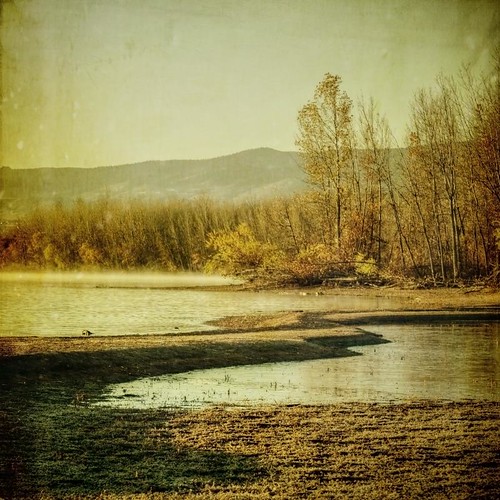 morning autumn trees lake fall canon vintage square sand jetty grunge shore aged chatfield textured texturesquared t1i