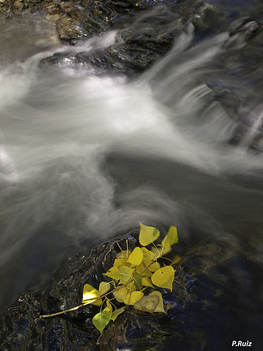 rio hojas huelva otoño lanava sierradearacenaypicosdearoche 1454mm pedrali olympuse3 múrtiga