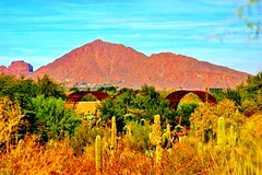 Papago Park in the distance