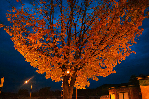 street blue autumn sky orange tree fall leaves night clouds lights evening maple vermont dusk parking falls foliage depot bellows vt