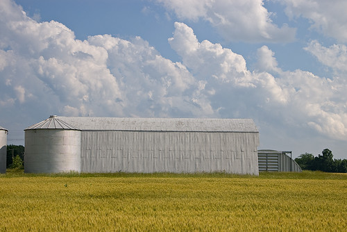 barn rural amber pentax grain bin cumulus agriculture istds towering