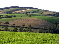 Arques, champs sur le Lévézou en Aveyron - Photo of Arques