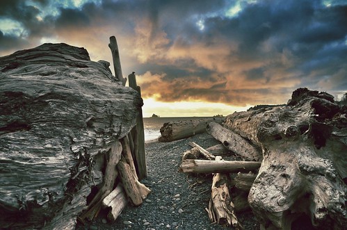 park wood sunset usa beach america washington nikon united driftwood national worn states olympic rialto colorphotoaward flickraward d7k d7000 flickraward5